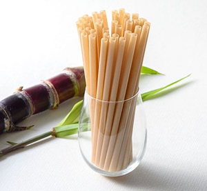 หลอดชานอ้อยเป็นมิตรกับสิ่งแวดล้อมจากเวียดนาม | ทางเลือกพลาสติก100% ปลอดภัยและย่อยสลายได้ทางชีวภาพ - Product Image 1