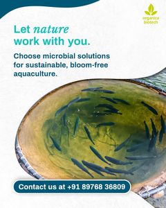 Aquaculture intérieure-BIOCLEAN AQUA PLUS - Product Image 5