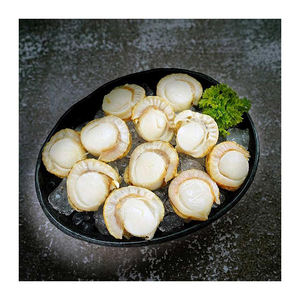 Carne de Vieira Hervida y Congelada BQF Premium sin Concha, Empaque Personalizado para Compras al por Mayor con Procesamiento Confiable - Product Image 2