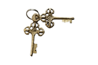 Cadenas hibou en laiton massif de meilleure qualité Serrure de porte de bureau à collectionner avec deux clés directement du fabricant indien