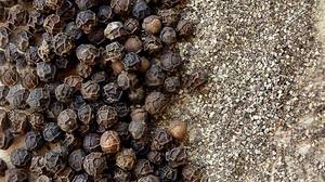 Pimienta Negra Seca Vietnamita de la Mejor Calidad, Sabor Intenso, Perfecta para Uso Culinario, Venta al por Mayor y Exportación Global - Product Image 5