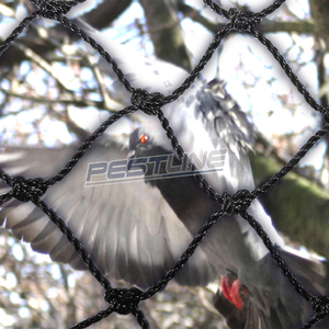 PESTLINE PRO 50x50 Bird Netting High Durability Plastic <strong>Net</strong> For Effective Bird Infestation Control - Product Image 2