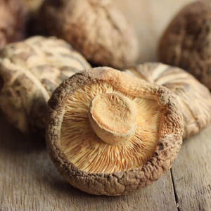 CHAMPIGNONS SHIITAKE SÉCHÉS DE HAUTE QUALITÉ DU VIETNAM POUR L'EXPORTATION - Product Image 1