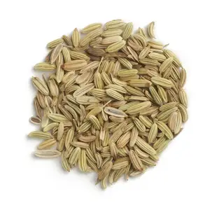 Premium Quality 100% Natural Dried Sweet Flavor Fennel Seeds Organic Aromatic Fennel Single Spices & Herbs