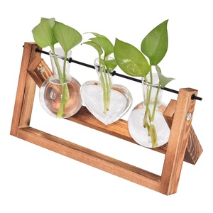 Terrario Decorativo de Vidrio con Marco Metálico, Ideal para Decoración del Hogar, Hoteles o Cafeterías, Accesorios para Terrarios de Vidrio - Product Image 5