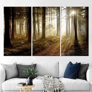 ภาพพิมพ์บนผ้าใบ Sunset Forest Path - ของตกแต่งผนังลายธรรมชาติ,3P:Gallery Wrapped - Product Image 1