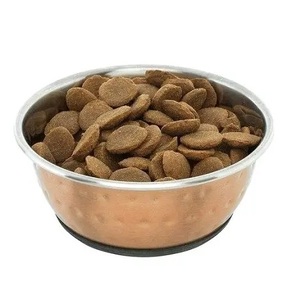 Cuenco de Metal de diseño moderno para perros con marco de hierro único y cuenco de acero inoxidable Gurdon, accesorios decorativos para Alimentación de Mascotas - Product Image 2