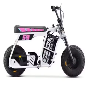 NUEVA LLEGADA EBOXxs Dragsterrs Bicicletas Eléctricas de 60V con Cuadro Completo y Batería de Litio de 18.2Ah - Product Image 4