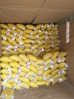 Cocopeat du Vietnam 5kg, bloc de tourbe de coco brun clair, support de culture organique pour hydroponie et serres, export en vrac Viet Seafarm
