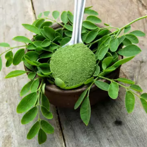 Polvo de hoja de Moringa natural con certificado completo de Vietnam - Product Image 1