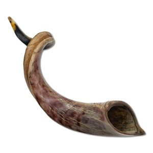 Shofar authentique en corne de buffle, fabriqué avec soin pour les rassemblements spirituels, les festivals, l'utilisation au temple, la décoration de cuisine - Product Image 3