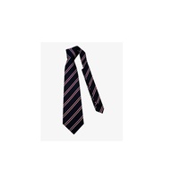Cravate pour femmes Vente en gros Meilleur prix Cravates faites à la main Cravates en polyester personnalisées pour hommes, femmes, enfants Cravate à pois Pièce de haute qualité