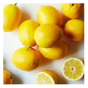 Limones Frescos Orgánicos con Cáscara Comestible de Color Amarillo para Sorbete, Helado o Condimentos - Product Image 1