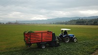 Récolteuse d'herbe Sayginlar de haute qualité, machine de transport agricole, état neuf, utilisation facile, pompe à moteur turque, roulement.