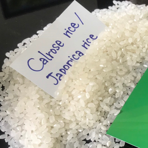 VILACONIC VIETNAM RIZ CALROSE 5% CASSÉ Riz moyen Riz vietnamien à grains moyens-Whatsapp: + 84 388 385 347 (Mme Alicia) - Product Image 4