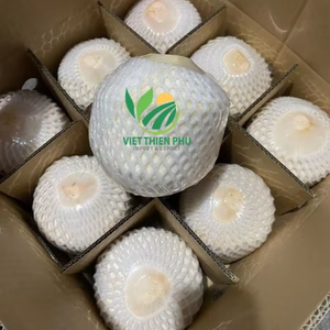 Producto popular del mes-Premium Fresh Coconut de VIET THIEN PHU-Proveedor de confianza de Vietnam-Embalaje a granel - Product Image 1