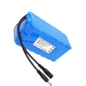 12V 21Ah Customize Lithium Ion Battery Pack 3.7V 7.4V 14.8V 24V 15Ah 18Ah 20Ah 12Ah for Light