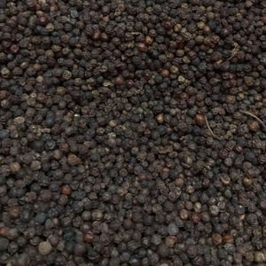 พริกไทยดำจากเวียดนาม550 500 570 580 600 GL FAQ MC - Product Image 1