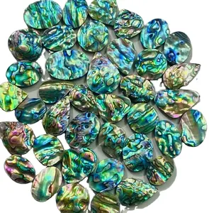 Natural Wholesale price Abalone shell loose Gemstone Amazing Wonderful Loose stone high quality gemstone