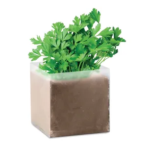 Gadgets écologiques PARSELY, graines de persil de haute qualité, outils pour herbes et épices - Product Image 1