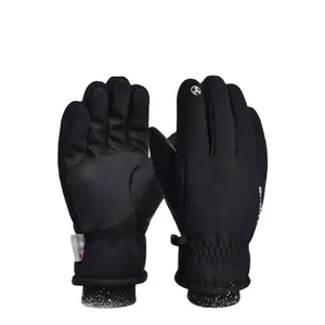 Waterproof Mens Ski Gloves Winter Insulate Snowboard Cold Weather Ski Gloves Hot Product Black Carbon Element Customized