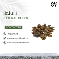 Dekorasi Halloween dan Paskah dari Bahan Tanaman Kering Alami Berkualitas Tinggi, Ramah Lingkungan, Tahan Lama, dan Menyerupai Asli Bakuli Pod