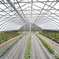 Une serre agricole de grande taille à tunnel élevé à prix coûté d'usine pour la culture de tomates