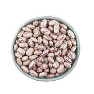 Frijoles Pintos Secos Orgánicos de Primera Calidad en Venta, Empaquetado a Granel, Origen Reino Unido, Nutrición Saludable e Industria de Procesamiento de Alimentos - Product Image 1