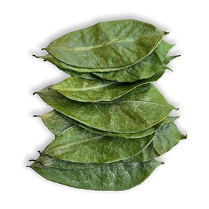 POUDRE DE FEUILLE DE GRAVIOLA NATURELLE | INGRÉDIENT DE THÉ PURE AU VIETNAM - Product Image 1