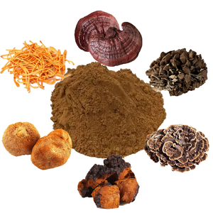 Extrait de champignon de crinière de lions pur de qualité supérieure OEM pour la mémoire de concentration et la santé immunitaire Poudre de crinière de lions naturelle pour hommes et femmes - Product Image 6