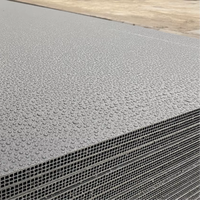 Panel de Encofrado de Contrachapado Plástico Hueco Moderno CONSO, de Alta Resistencia, Reutilizable, para Vertido Único, Resistente al Agua