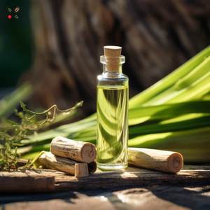 100% aceite esencial de raíz de cálamo natural grado farmacéutico disponible al mejor precio y competitivo en 25kgs y 180kgs - Product Image 2