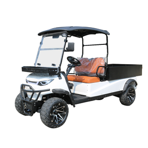 Voiture électrique à deux places, chariot de transport, batterie au plomb-acide, certifiée CE, 45 km/h, autonomie de 80-90 km, chargement et déchargement pratiques, personnalisable - Product Image 6