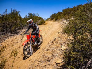Increíbles Ofertas en Motocicletas Nuevas Honda CRF250F 2025 - Product Image 4