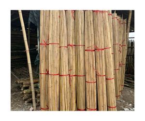 Bastón de bambú ecológico de alta calidad, venta al por mayor, de bambú natural Material, proveedor de exportación de fábrica de Vietnam - Product Image 5