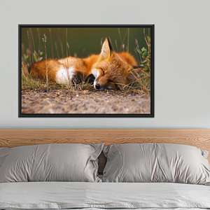 Arte impreso en lienzo: diseño 3D de zorro durmiendo, decoración de pared con animales adorables, 1 pieza: con marco negro - Product Image 1