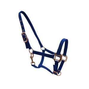 Fournisseur en vrac licou de cheval robuste de haute qualité équitation licou en PP disponible au meilleur prix - Product Image 5