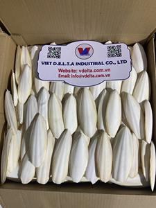 Os de seiche pour complément de calcium chez les animaux de compagnie/chats - Product Image 2