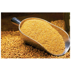 Farine de poisson de haute qualité pour l'alimentation animale à bas prix - Product Image 6