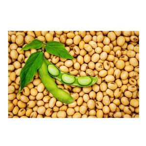 Non Gmo <b>Soybean</b> Top Grade Cheap <b>Soybean</b> Wholesale <b>Soybeans</b> For Sale - Product Image 4