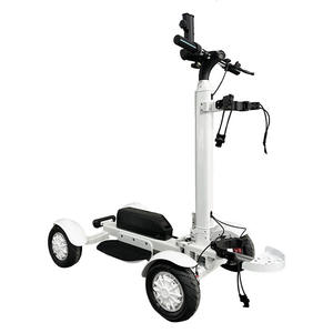 Golf Skateboard <b>Electric</b> Power <b>Scooter</b> 10inch Tire 4 Wheels <b>Electric</b> Golf <b>Scooter</b> Golf Board - Product Image 1