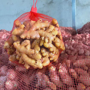 Vietnam <b>Fresh</b> <b>Ginger</b> Farm Direct High Quality Strong Flavor Wholesale Export - Product Image 1