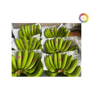 Fruta fresca de plátano cultivada en Vietnam con cáscara firme y carne dulce para cadenas alimentarias y vendedores internacionales - Product Image 6