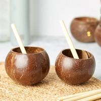 Tasse en coquille de noix de coco compostable écologique bol en coco naturel tasses pour glace et service de nourriture expédition accepter
