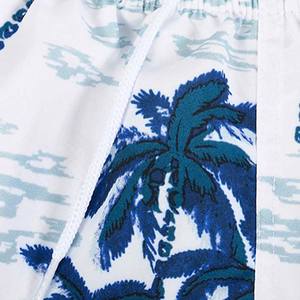 Short de bain d'été pour hommes Shorts de bain personnalisés Water Reactive Swim Color Temperature Changing Beach Shorts for Men - Product Image 5