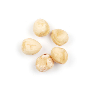 Avellanas a granel de alta calidad listas para envío y comercio - Product Image 4