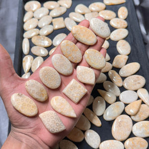 Cabujón de jaspe de Coral Fósil azul Natural de grado AAA, piedras preciosas sueltas pulidas suaves, regalo de tamaño personalizable para ella - Product Image 1