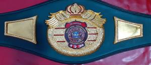 Ceintures de championnat personnalisées Trophées Médailles et récompenses le symbole ultime de la victoire et de l'excellence Ceintures de championnat - Product Image 6