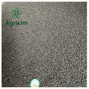 Alta calidad, Exportación de Vietnam, pimienta negra seca, hierba, especias, patrón Original, proceso crudo, secado entero de fábrica confiable - Product Image 1