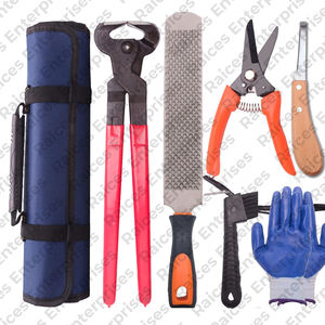 Kit d'outils de maréchal-ferrant en acier inoxydable de qualité supérieure 2025 nouveauté Kit de sabot de maréchal-ferrant au prix de gros - Product Image 1